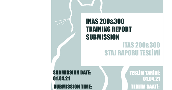 INAS 200&300 Training Report Submission